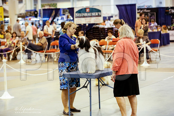 _JN_4686-HstnJul2014-HR3