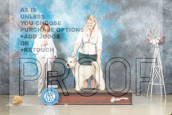 Pumi #8 Thur G4 Judge Sharon Derrick_MJ_3705_Amarillo_2022_HR3