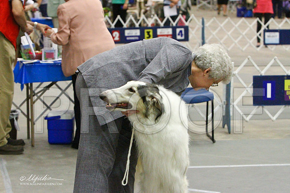 Borzoi-2366LR