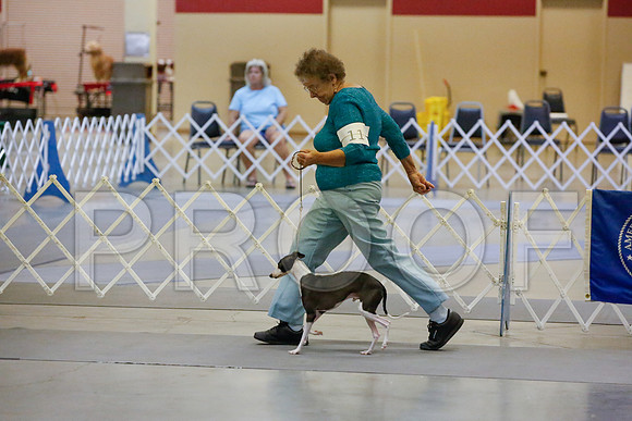 _JJ_0295-AmarilloSept2014-HR3