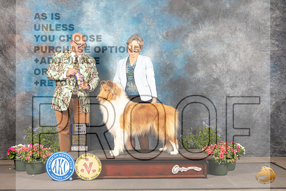 Collie Rough #14 Thur BOVNCh Judge Michael Canalizo_MJ_0071_SA_2022_HR3