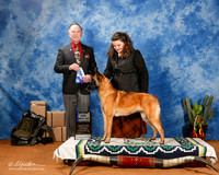 Belgian Malinois #14 Sat BOW Maj