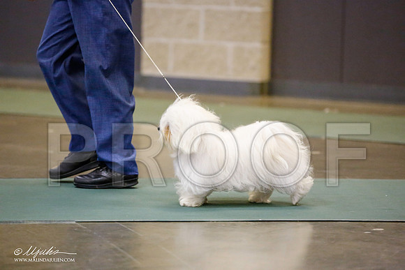 _JN_5752-BeltonJan2015-HR3
