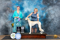Saluki #10 Fri WBBOWCH Judge Sharol Candace Way
