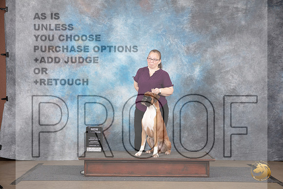 Boxer #476 Sat NCh Judge Jennnifer Landers__JP_2609_LongviewTX_2024_HR3