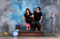 Cane Corso #8 Thur BOBOHBOB Judge Denise Dean