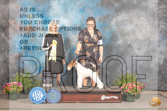 Wirehaired Fox Terrier #7 Fri G3 Judge Jan Paulk_MJ_0029_SA_2022_HR3