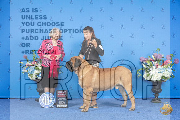 Mastiff #7 SAT G2 Judge Annella Cooper__JP_0031_Houston_2024_HR3