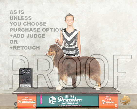 Australian Shepherd #123 Thur JrTop10F Judge Ron Sacca__MJ_7480_Premier_2022_HR3