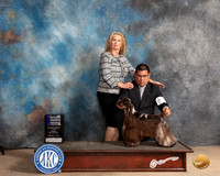 Cocker Spaniel Parti #8 Sun WBM Judge Lori Nelson
