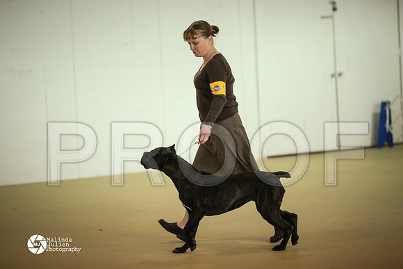 Cane-7831-HtoJan14-HR