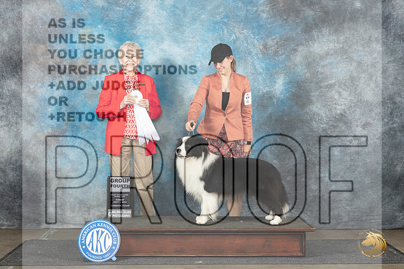 Border Collie #5 Sun G4 Judge Sharon Newcomb__JP_3986_Lubbock_2024_HR3