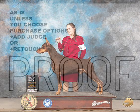 Doberman Pinscher #7 Sun OHG4 Judge Linda ClarkMMJ_5815_Mdlnd2022_HR3