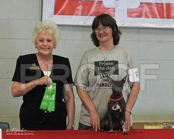 IMG_1021web