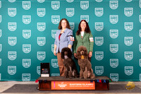 Poodle Std #198 & 155 note