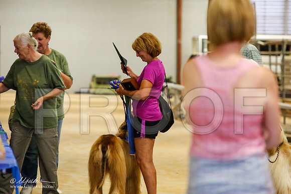 _MJ_2751-AfgBeltonOct2014-HR3