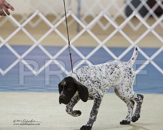 BIS Puppy-6032LR