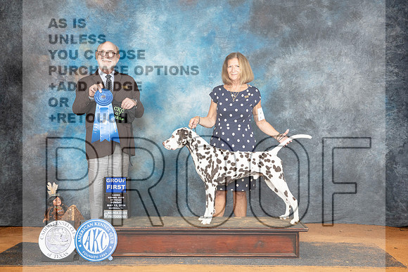Dalmatian #5 Sun G1 Judge Tim Robbins__JP_8932_MARSHALL_2024_HR3