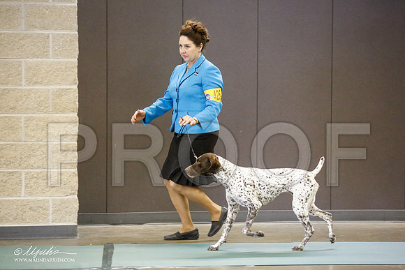 _JN_3723-BeltonJan2015-HR3