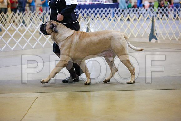 _JJ_8133-AmarilloSept2014-HR3