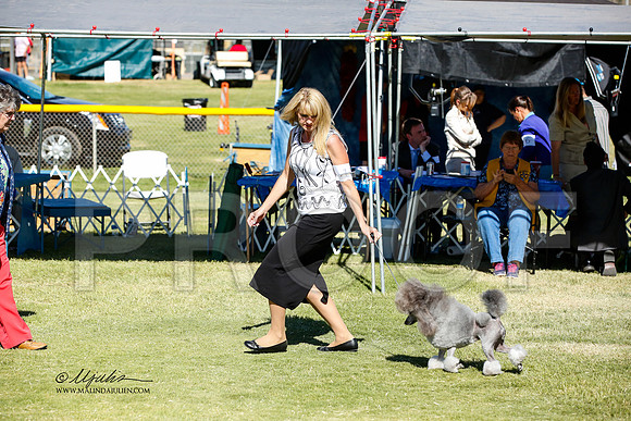 _JN_1449-AlamogordoOct2014-HR3