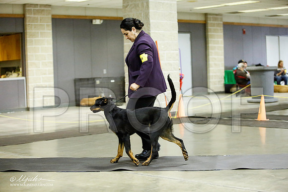 _JJ_6115-BeltonJan2015IABCA-HR3