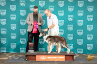 Silken Windhound #444 Fri BOB G2 Judge Kevin Carroll