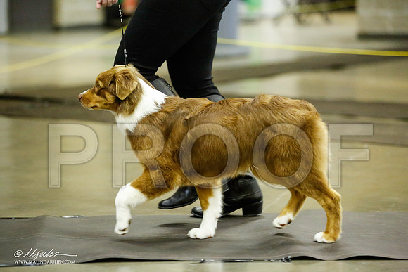 _JJ_6040-BeltonJan2015IABCA-HR3