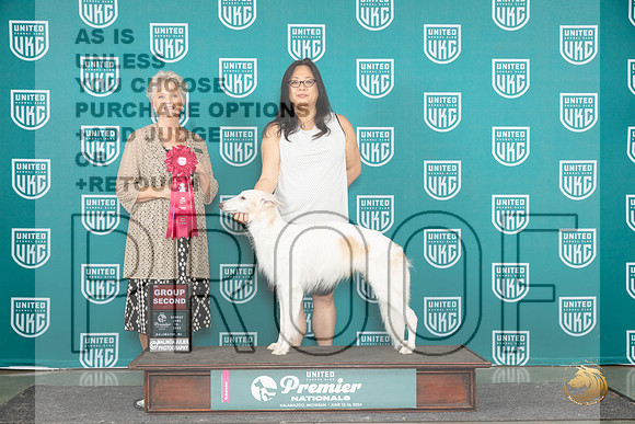 Silken Windhound #453 Sat G1 Sun G2 Judge Diane Price__JP_3192_Premier_2024_HR3