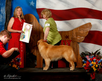 Golden Retriever #9 Thurs Best Puppy in Sweeps