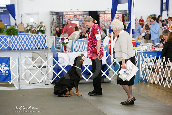 _JN_8261-DallasJul2014-HR3