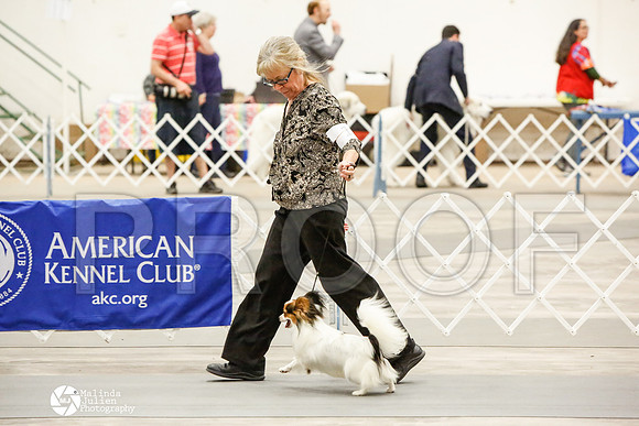 _CK_7454-AblnMay2014-web
