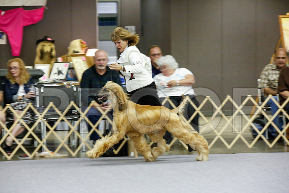 _JJ_8260-AfgBeltonOct2014-HR3