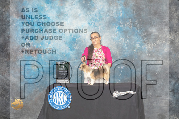 Chihuahua Long Coat #5 Fri1 AOM Judge Carol Pyrkosz r_MJ_9844_HstnTOY_2022_HR3