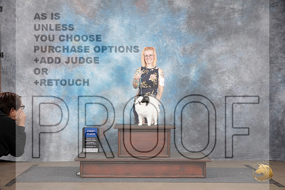 Pomeranian #273 Sat G1 Judge Matthew Proctor__JP_2687_LongviewTX_2024_HR3