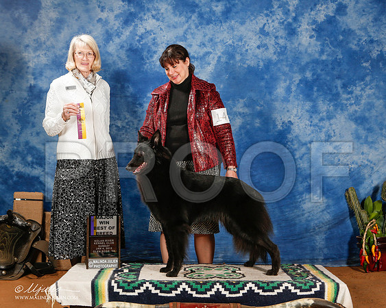 _ST_1366-2-GlenRoseJan2015-HR3