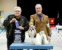 Shih Tzu #8 Sun NC Kruger Paula Judge Ms Denny C Mounce