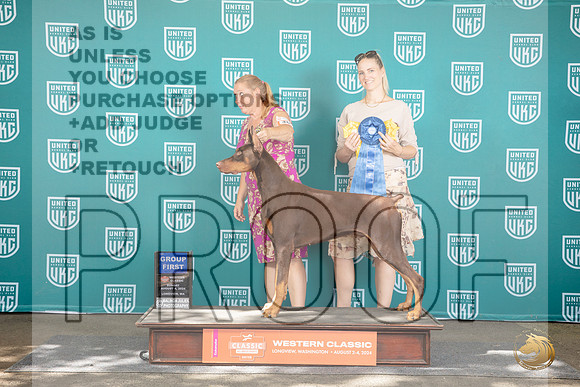Dobermann Pinscher #409 Sun G1 Judge Sharron Griffin__JP_1979_Longview WA_2024_HR3