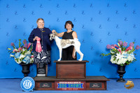 Whippet #8 FRI BP VG1 Judge Terri Jackson