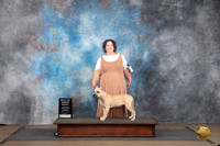 American Bully #424 Sat PupBOB Judge Chandra Martin