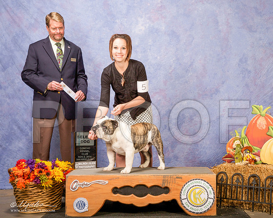 _CL_4577-SanAngelo2014-HR3