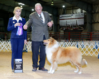 Collie Rough #19 Fri 2 BOW
