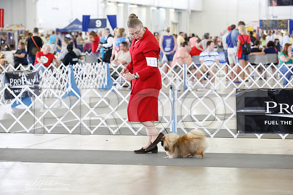 _CK_7278-DallasJul2014-HR3