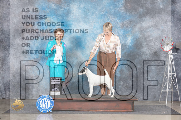 Smooth Fox Terrier #5 Sun G4 Judge Pat Trotter__JP_6378_Amarillo_2024_HR3