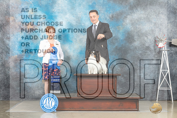 Papillon #8 Sun G1 Judge Sharon Derrick_MJ_5086_Amarillo_2022_HR3
