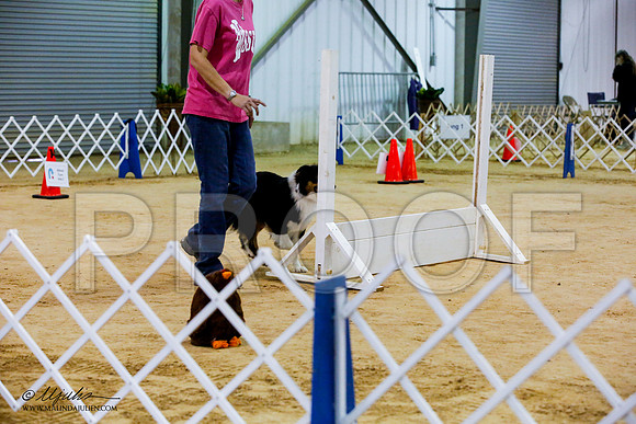 _JJ_4763-ASCACollegeStationNov2014-HR3