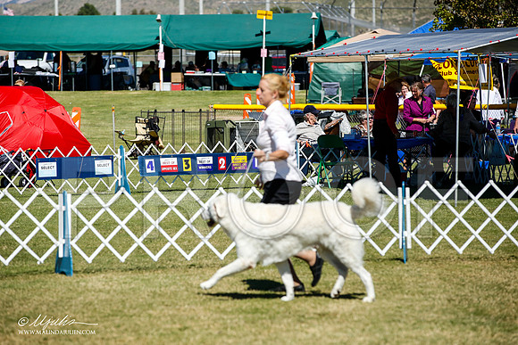 _JJ_0931-AlamogordoOct2014-HR3