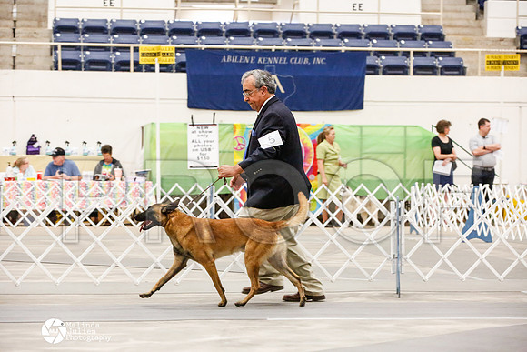 _JJ_8938-AblnMay2014-web
