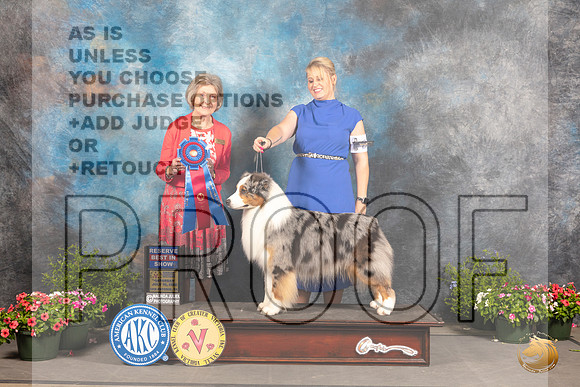 Australian Shepherd #29 Sat RBIS Judge Anne Bolus_MJ_0663_SA_2022_HR3