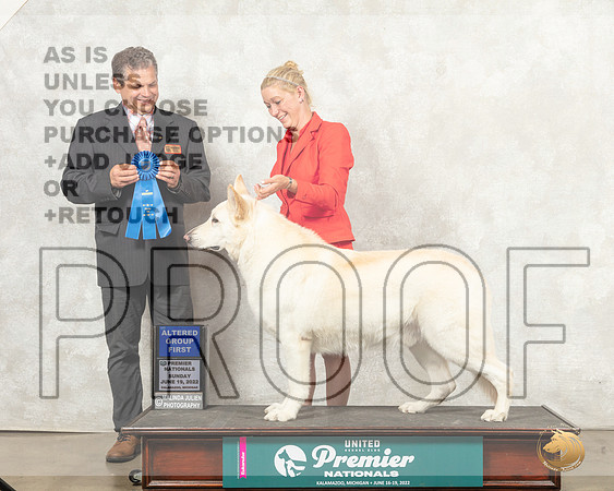 White Shepherd #1167 Sun AG1 Judge Antonio Raposo__MJ_9360_Premier_2022_HR3